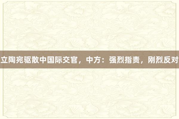 立陶宛驱散中国际交官，中方：强烈指责，刚烈反对