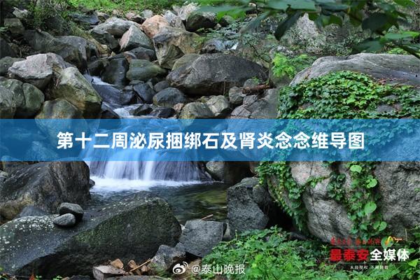 第十二周泌尿捆绑石及肾炎念念维导图
