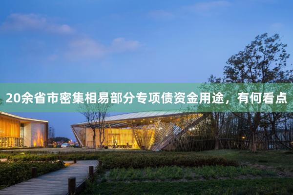 20余省市密集相易部分专项债资金用途，有何看点