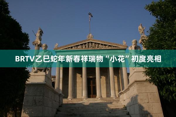 BRTV乙巳蛇年新春祥瑞物“小花”初度亮相