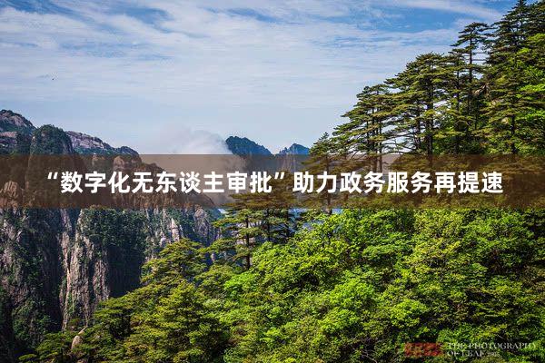 “数字化无东谈主审批”助力政务服务再提速